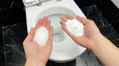 Suola ja ruokasooda WC:ssä: miksi putkimiehet suosittelevat tätä ja mitä hyötyä siitä on