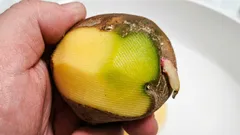 Vihreät perunat: voiko niitä syödä ja miksi ne muuttuvat vihreiksi?