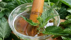 Kuinka tehdä tavallisesta nokkosesta hyödyllinen lannoite: ravinteikkaan uutoksen resepti