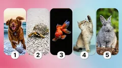 Mitä lemmikin valinta kertoo sinusta? Testi paljastaa persoonallisuutesi