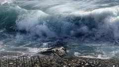 Asteroidi aiheutti megatsunamin Euroopan rannikolla: missä ja milloin se tapahtui?